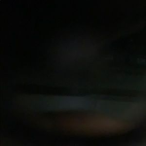 Meet your Posher, Zoey